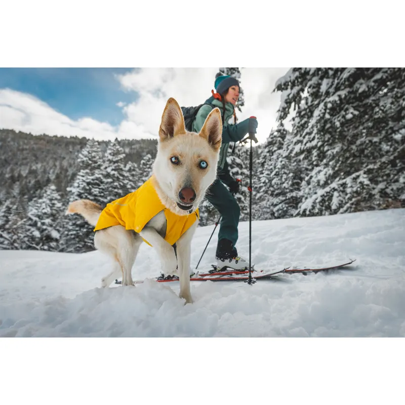 Ruffwear Vert Jacket in Blue Pool-6