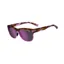 Tifosi Swank XL Sunglasses in Pink Tortoise