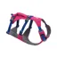 Ruffwear Flagline Dog Harness in Alpenglow Pink