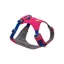 Ruffwear Hi and Light Dog Harness in Alpenglow Pink