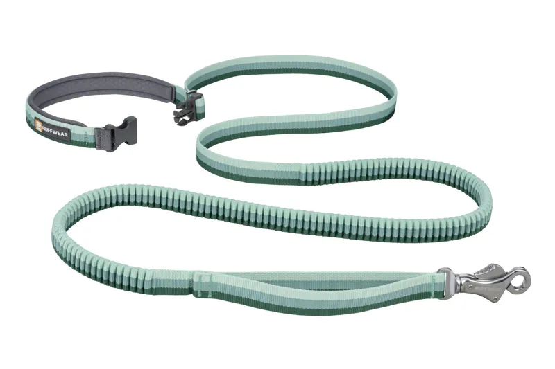 Ruffwear Roamer Dog Leash in River Rock Green