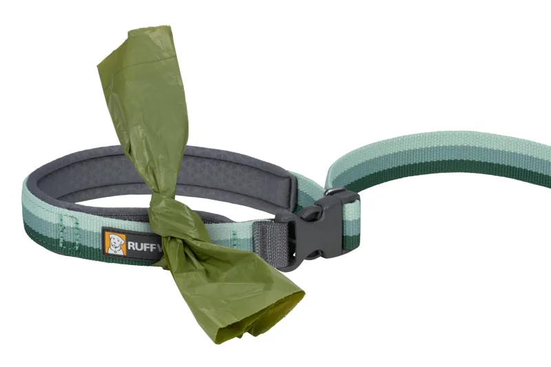 Ruffwear Roamer Bungee Dog Leash in River Rock Green